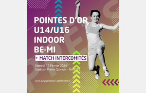 Pointes d'or régionales et match intercomités U14/U16